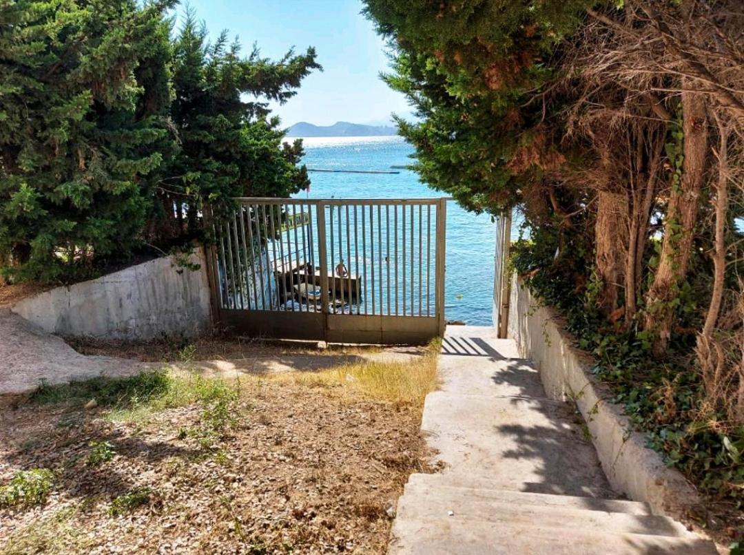 Paloma Dream Apartment Benidorm Bagian luar foto